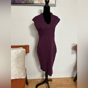 Egg plant colored dress